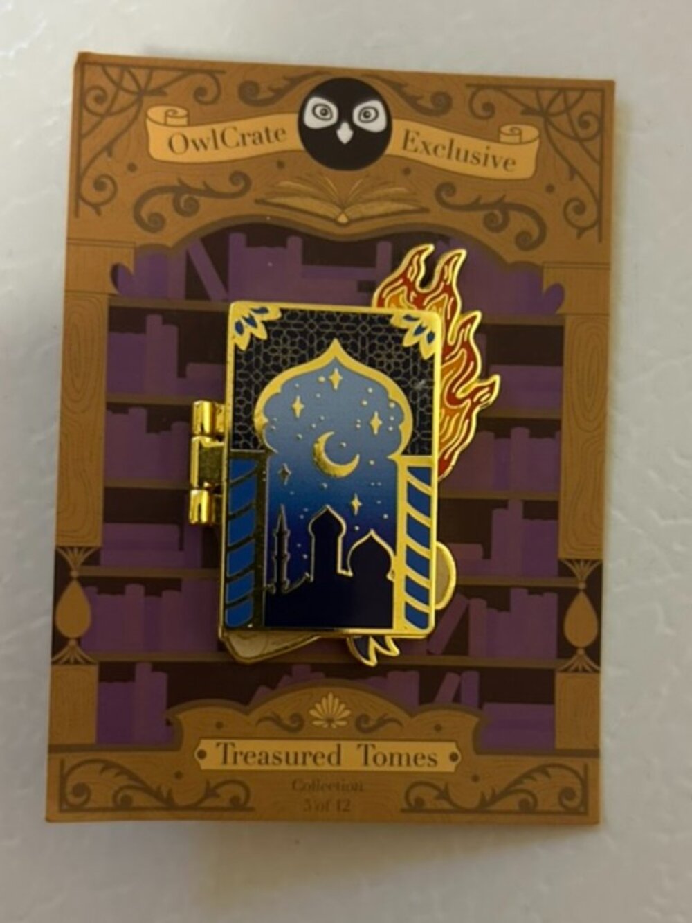 OwlCrate Treasured Tomes Pin - We Hunt the Flame